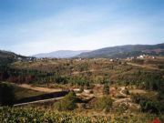 Carballal. Petín, Orense